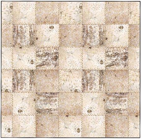 Birch Bark  bathroom Shower Curtain