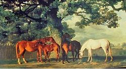 Green Pastures Mural Full Wall Mural HJ6720M Green Pastures Mural Full Wall Mural HJ6720M