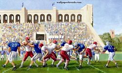 Football Stadium Mural Full Wall Mural IN2677M Football Stadium Mural Full Wall Mural IN2677M