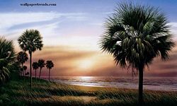 Palmetto Sunrise Mural Full Wall Mural RA0131M Palmetto Sunrise Mural Full Wall Mural RA0131M