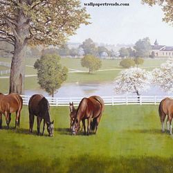 Horse Farm Mural Full Wall Mural RA0195M Horse Farm Mural Full Wall Mural RA0195M