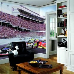 Daytona Raceway Mural Full Wall Mural RA0199MRoom Shot