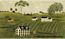 FK3989M Countryside Mural Full Wall Mural