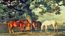 HJ6720M Green Pastures Mural Full Wall Mural