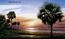 RA0131M Palmetto Sunrise Mural Full Wall Mural