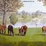 RA0195M Horse Farm Mural Full Wall Mural