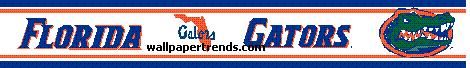 Florida Gators Wallpaper Border