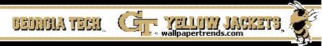Georgia Tech Yellow Jackets Wallpaper Border
