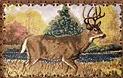 Deer Lodge bath rugs tub mat