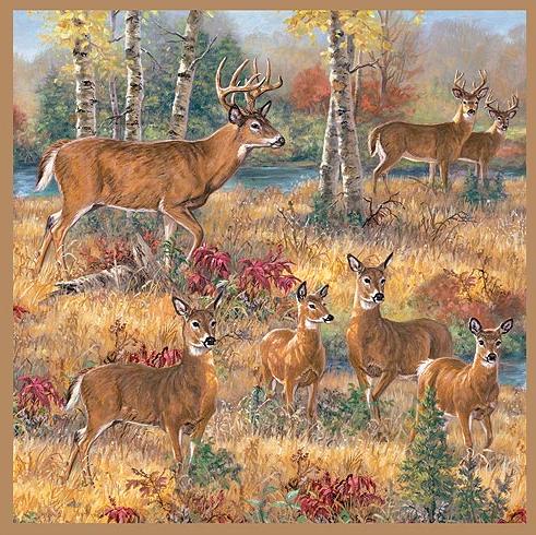 Deer Cabin  bathroom Shower Curtain