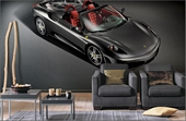 FE162760R Ferrari GT F430 Spider Studio Wall Mural 