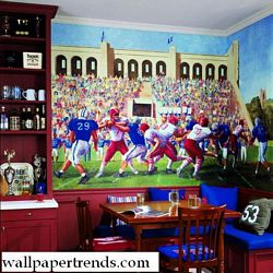 Football Stadium Mural Chair Rail Wall Mural IN2676MRoom Shot