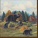 Great Bear Lodge bathroom shower curtains