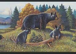 Great Bear Lodge bathroom wallpaper borders