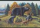 Great Bear Lodge bathroom wallpaper border
