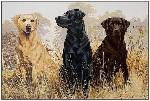 Hunting Dogs  bathroom Bathroom Rug