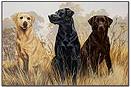 Hunting Dogs bath rugs tub mat