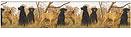 Hunting Dogs bathroom wallpaper border