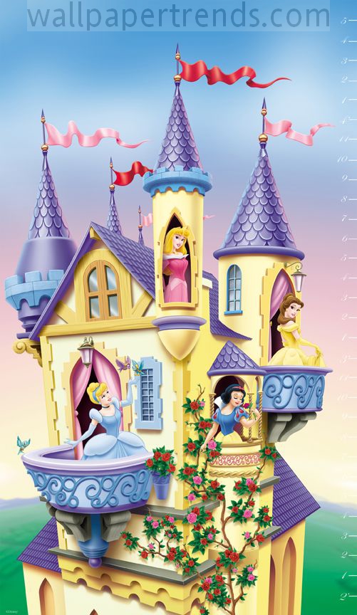 Cinderella, Belle, Snow White and Aurora/Sleeping Beauty