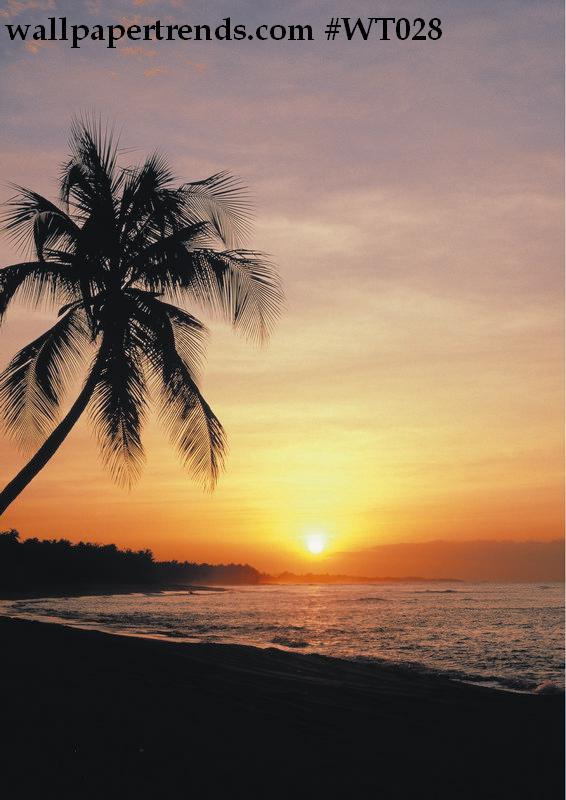 beautiful sunset wallpaper. Tropical Sunset Wallpaper Wall