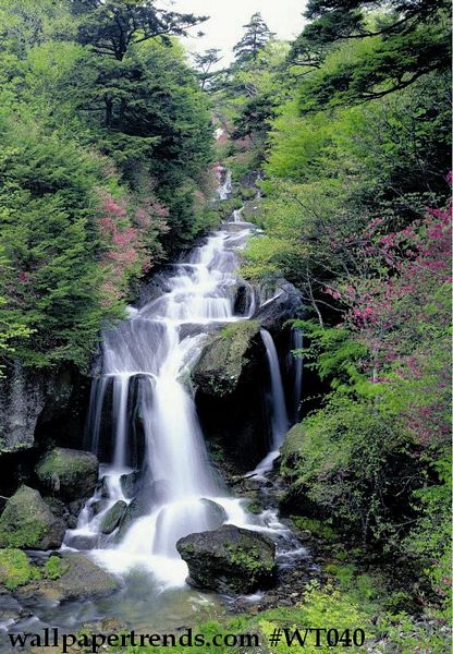 Floral Falls Wall Mural Floral Falls Wall Mural