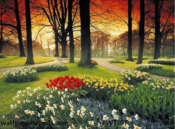 Floral Sunset Wall Mural Floral Sunset Wall Mural