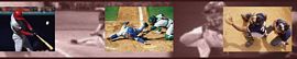 Baseball Action Mural Wall Border 258B75069