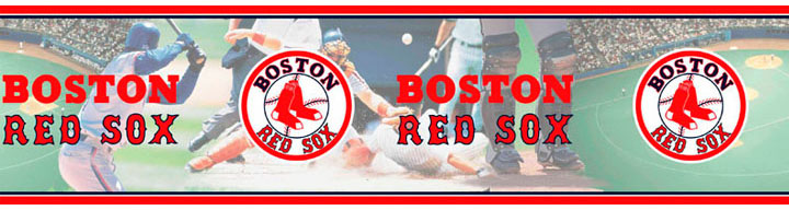 Boston Red Sox Wall Borders 5815397