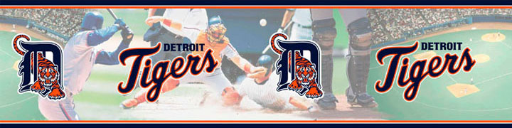 Detroit Tigers Wall Borders 5815400