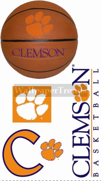 CU Clemsen University Tigers Wall Decals