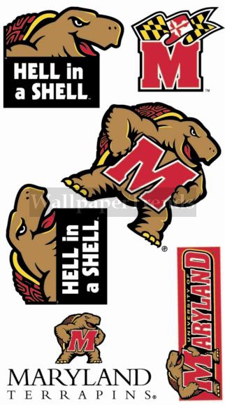 UM University of Maryland Terapins Wall Decals