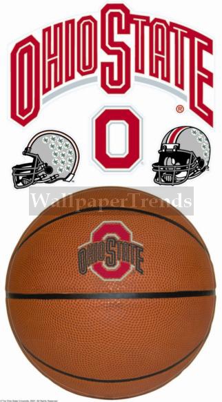 OSU Ohio State University Buckeyes Wall Decals