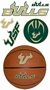 South Florida Bulls Wall Decals 