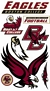 Boston Eagles Wall Decals 
