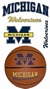 Michigan Wolverines Wall Decals 