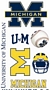 Michigan Wolverines Wall Decals 