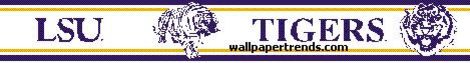 LSU Fighting Tigers Wallpaper Border 