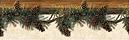 Pine Lodges bathroom wallpaper border