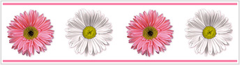 RMK1012BCS Flower Power  Stick On Wall Border