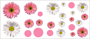 RMK1013SCS Flower Power  Wall Decals