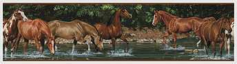 RMK1016BCS Wild Horses  Stick On Wall Border
