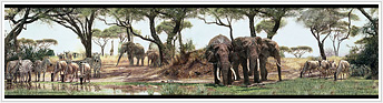 RMK1129BCS Safari                    Stick On Wall Border