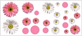 RMK1013SCS Flower Power Wall Decals 