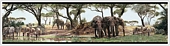 RMK1129BCS Safari Stick On Wallpaper Border 